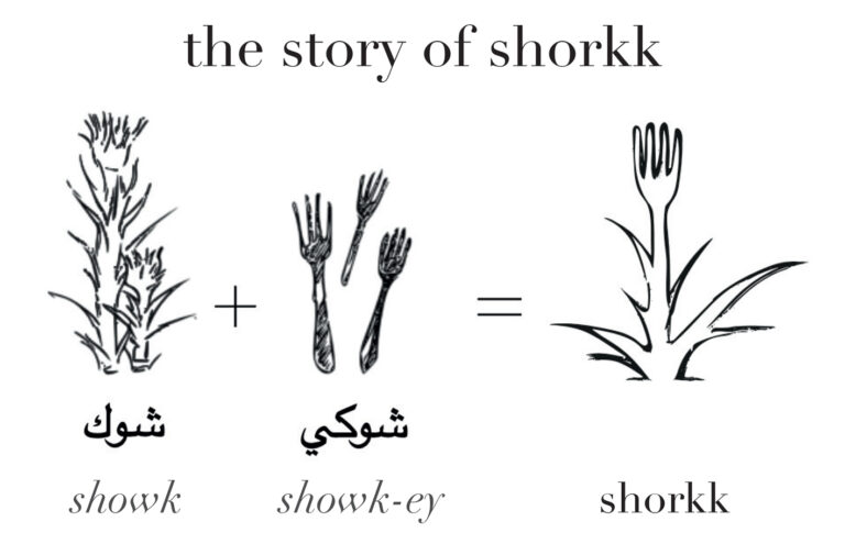 story of shorkk