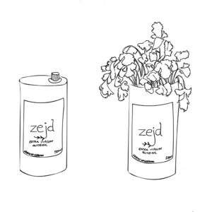 a drawing of the olive oil can being reused as a vase for kitchen herbs drawn by Zelfa
